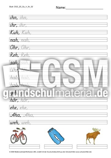 DSS_2S_Bu_h_Nr_02.pdf